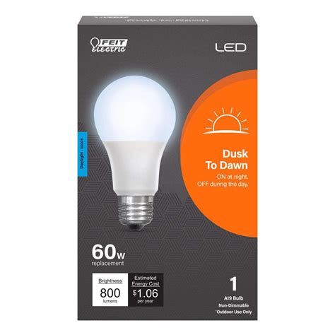 Feit Electric Intellibulb A19 E26 (Medium) LED Dusk to Dawn Bulb White
